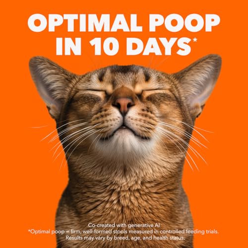 IAMS Proactive Health Healthy Kitten Dry Food – with Chicken – 1.59KG (3.5LB) Bag image 7