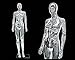 Female Chrome Mannequin - Female Full Body Chrome Mannequin w/Removable Head (#PS-SF6SCEG)