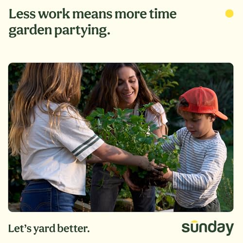 Sunday Wonderfert Flower Plant Food, Bigger Blooms for Roses, Annuals, Perennials, and Container Plants, 3-8-7 Liquid Concentrate, 32 fl oz, 500 sq ft by SUNDAY - Image 7