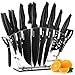 TICWELL Couteau de Cuisines, 19 Pièces Set Couteau Cuisine en Allemagne Acier Inoxydable, Couteaux de Cuisine Professionnels avec Porte-couteau en acrylique, Compris Couteau de Chef, Couteau à Pain