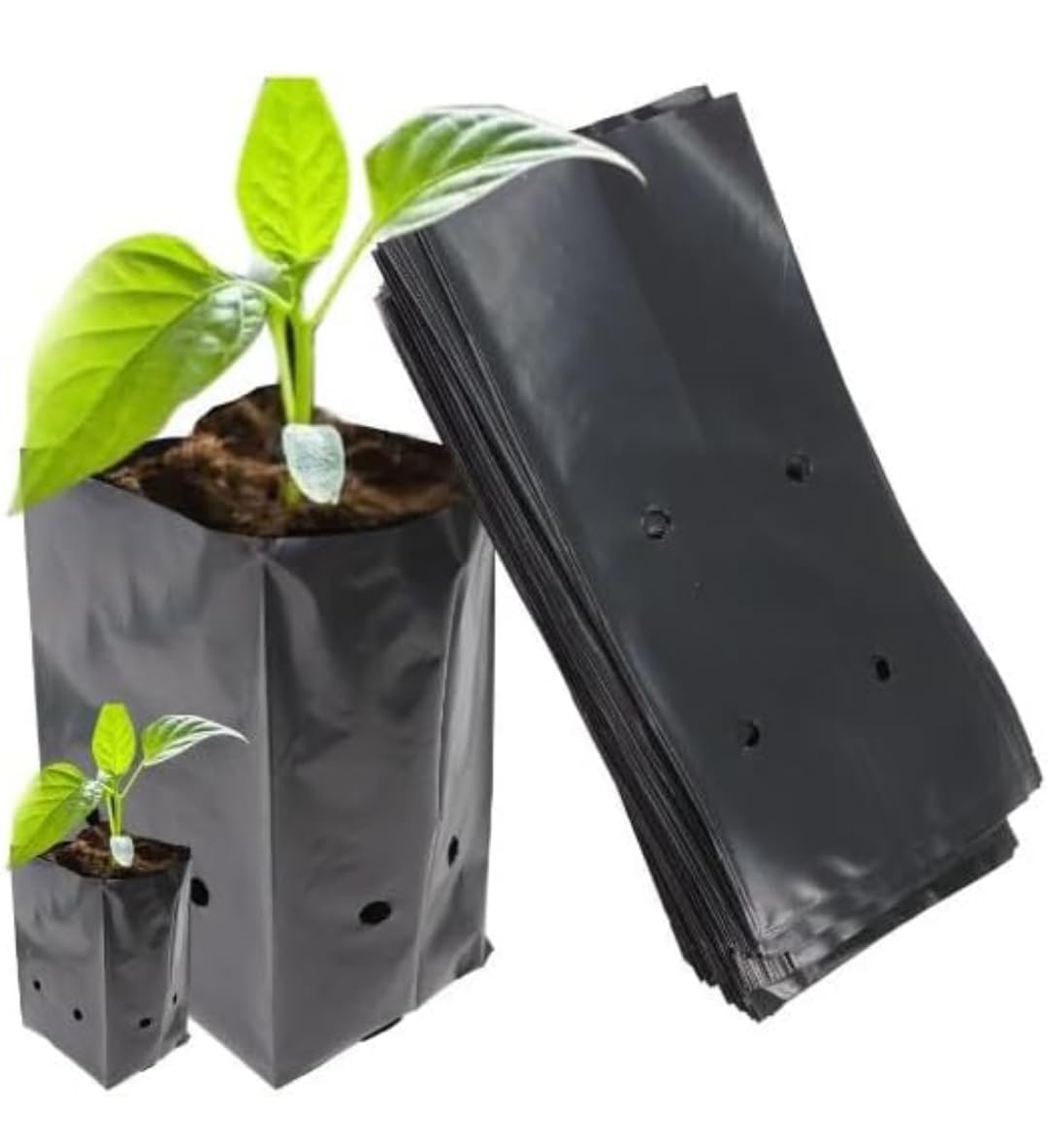 See full amazon price history chart for Elamgreen Nursery Grow Bags for Plants 8x4inch Plant Bags, Plastic Black Nursery Grow Bags Pack of 100 Elamgreen Nursery Grow Bags for Plants 8x4inch Plant Bags, Plastic Black Nursery Grow Bags Pack of 100 (B0CTZX3JST) Amazon Price History, Amazon Price Tracker