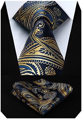 HISDERN Men's Paisley Tie Handkerchief Wedding Party Necktie & Pocket Square Set