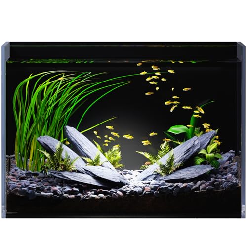 5 Gallon Glass Fish Tank Ultra Clear Rimless Aquarium, Built-in