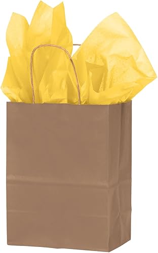 Miniatura 2 de SSWBasics Bolsa de compras de papel kraft – Mediano (8 ¼ de largo x 4 ¾ pulgadas de profundidad x 10 ½ pulgadas de alto), caja de 100 – 80 # (120