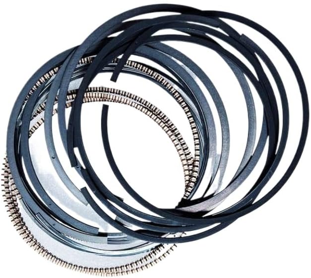 専用ページ ダチュラ様9/5