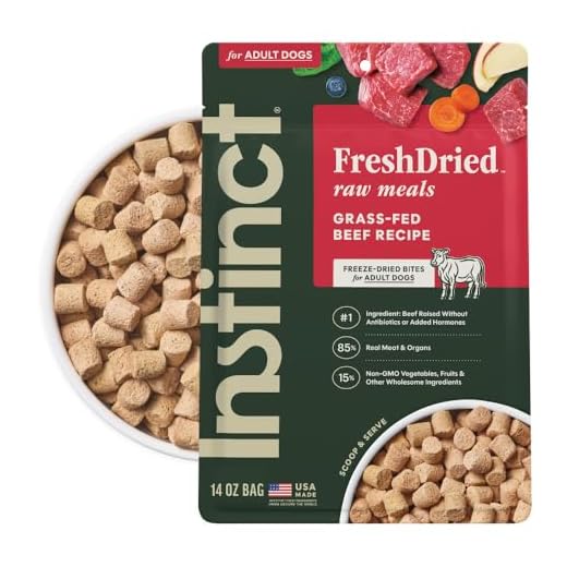Instinct Freeze-Dried Meals, FreshDried Bites, Natural Dog Food, Grain-Free - Grass-Fed Beef, 14 oz. Bag