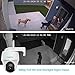 REOLINK Argus PT - 5MP Pan Tilt Solar Battery Camera Outdoor Wireless for Home Security, Night Vision, Smart Detection, 2-Way Audio, Support Smart Home/Local Storage, Home Hub Compatible