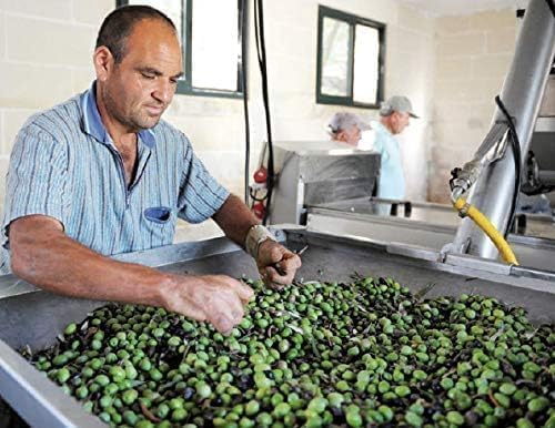 Huile d’Olive Vierge Extra du Maroc 700ml – Première Pression à Froid – Picholine Marocaine – Non Filtrée – Zéro Résidu de Pesticides – Bouteille en Argile Anti-Lumière – vue 4