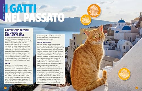 A Ciascuno Il Suo Gatto! - 8