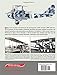 AEG Aircraft of WWI: A Centennial Perspective on Great War Airplanes (Great War Aviation Centennial Series)