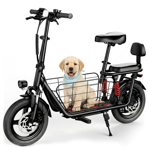 Windhorse C3 Dual-Seat Scooter
