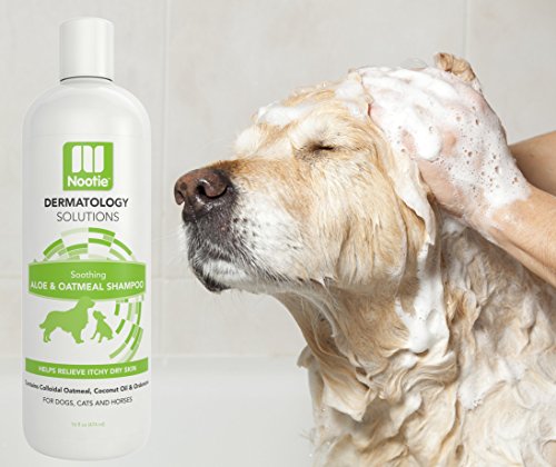Nootie Dog Shampoo With Soothing Aloe Best For All Pets Including Dogs, Cats, And Horses - 100% All Natural Deodorizing Soap Free Formula - Clear, 16 Fl Oz (Pack Of 1), Sao16 #TOP7