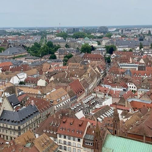 2024年 7月15日 第二十九周