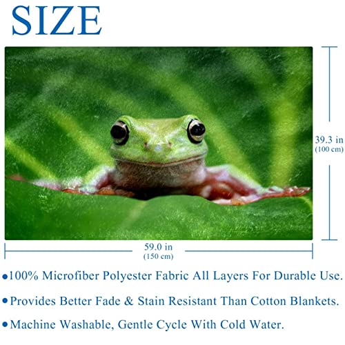 Couverture Dumpy Tree Frog chaude et confortable pour lit et canapé 150x100