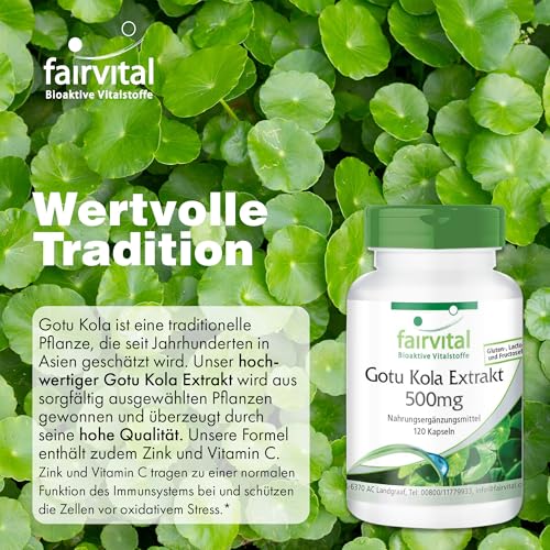 fairvital Gotu Kola, 120 Kapseln, mit 500mg Centella Asiatica Extrakt pro Kapsel, HOCHDOSIERT, VEGAN