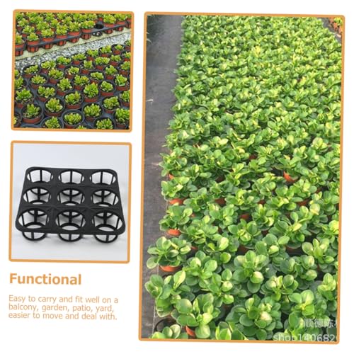 Support pour plateaux de germination plastique noir trous ronds jardinage semis plantes - 5