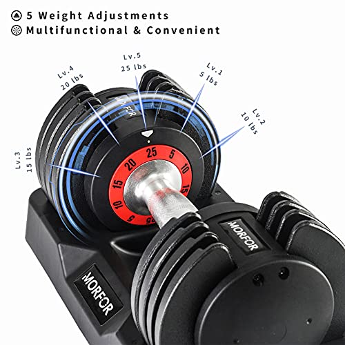 https://m.media-amazon.com/images/I/511aOFKk+gS._SL500_.jpg