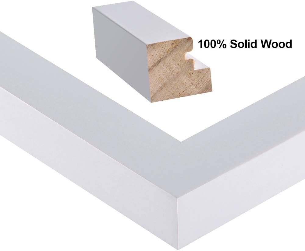 RPJC 18x24 Inch Solid Wood Poster Frames for Wall Mounting Hanging Picture Frame White -
