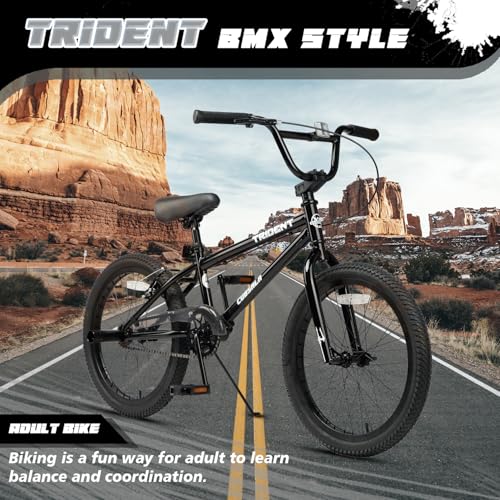 image for cubsala 20 Inch BMX Race Bike Trident Bicycles Beginner-Level to Advan
