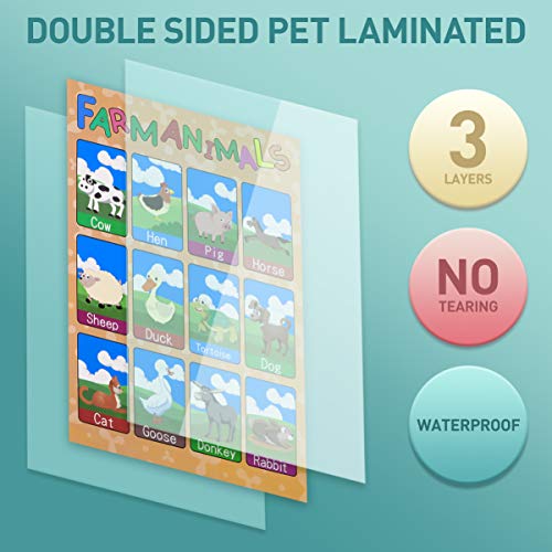 NUOBESTY Cartazes educativos de pré-escola para crianças e crianças, 10 pôsteres de jardim de infânc