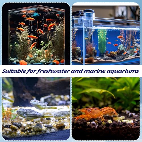 Image of 12Pack Pre-filter Sponge for Aquarium Sponge Filter Aquarium Foam Rolls Shrimp Fry Fish Tank Filters 0.8 inch Intake Replacement Filters Sponges for Small Fish Shrimp Fry Fishes Tank Covers Accessories