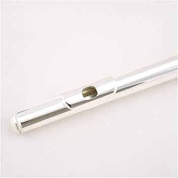 Amazon | Zengxue フルート楽器 左手フルート16ホールクローズド