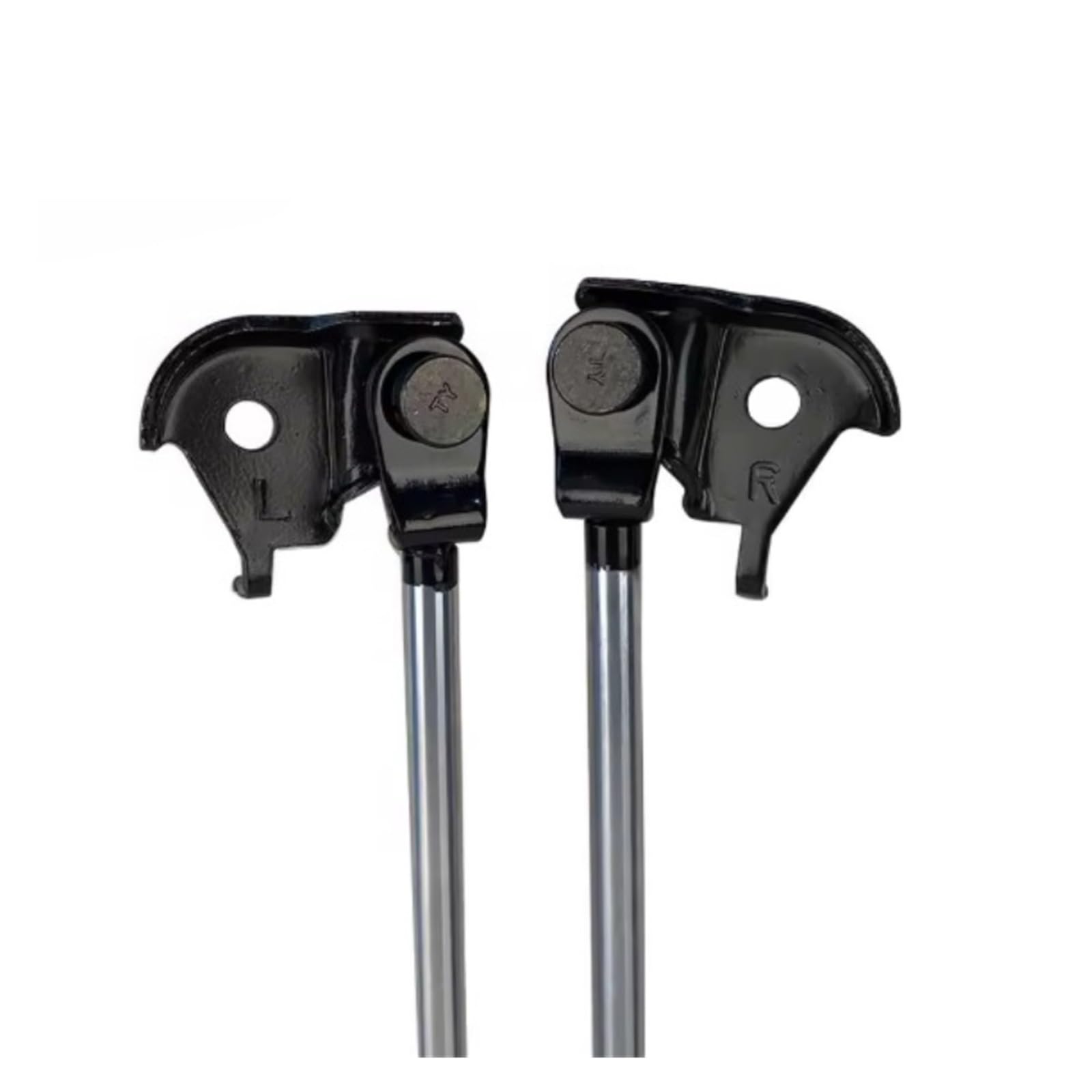 Amazon.com: BHNJUTM OEM 53440-69015 53450-69015 2Pcs Front Bonnet