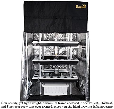 SuperCloset BuddhaBox w/Tent