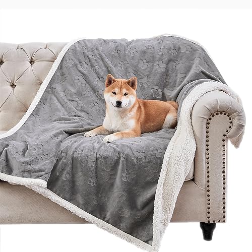 Top 10 Best Material For Dog Blankets Reviews & Buying Guide Katynel