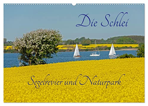 The Schlei Sailing Area and Nature Park (Wall Calendar 2026 DIN A2 Landscape), CALVENDO Monthly Calendar: The Schlei, a Baltic Sea Fjord Surrounded by Rapeseed Fields.