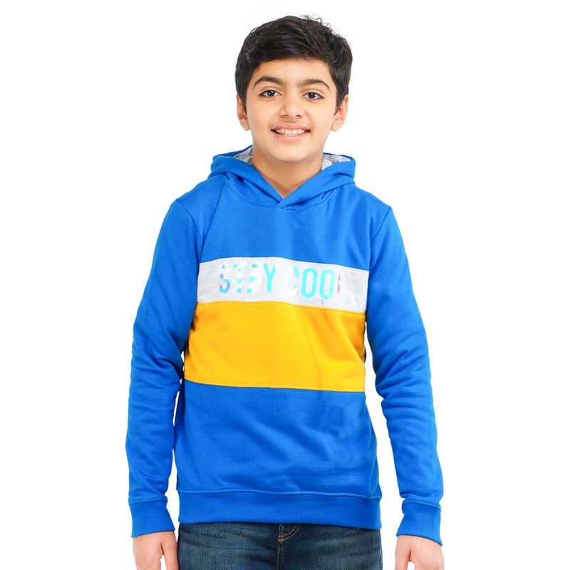 Image of Real Basics Boys Cotton Hooded Sweatshirt(Pack of 1)