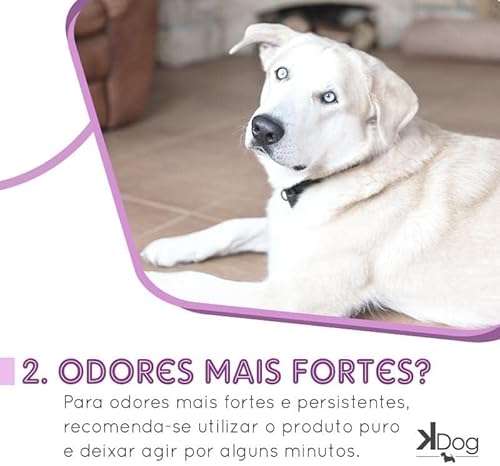Eliminador de Odores para Cães e Gatos, Aroma Lavanda, KDog, 2 litros