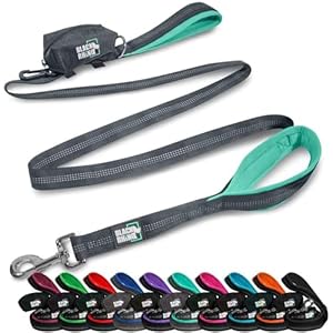 Black Rhino Heavy Duty Dog Leash for Medium and Large Dogs – 6 ft Long Double Handle Leash with Padded Traffic Control Handles and Bag for Comfort – Reflective, Durable, and Weather Resistant (Aqua)