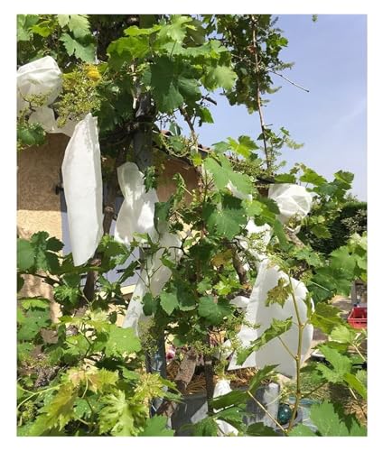 SDGBCXD Sacs à Fruits, Pochette barrière en Tissu Non tissé for Raisins de Jardin, Sacs Anti-Oiseaux for la Lutte antiparasitaire agricole
