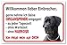 AdriLeo Schild - Vorsicht Deutsche Dogge - Willkommen Lieber Einbrecher - (20x30cm) / Graues Fell Achtung Hund Wachhund