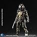 Hiya Toys Predators: Falconer Predator 1: 18 Scale Action Figure, Multicolor