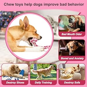 Dog Rope Toys 3 Knots Chew Rope Toy for Small Medium and Large Dogs Natural Cotton Dog Pull Rope for Tug of War and Teeth Cleaning pink  Cucciolini Doodles Dog rope toys 3 knots chew rope toy for small medium and large dogs natural cotton dog pull rope for tug of war and teeth cleaning pink   cucciolini doodles