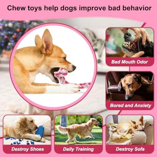 Dog Rope Toys 3 Knots Chew Rope Toy for Small Medium and Large Dogs Natural Cotton Dog Pull Rope for Tug of War and Teeth Cleaning pink  Cucciolini Doodles Dog rope toys 3 knots chew rope toy for small medium and large dogs natural cotton dog pull rope for tug of war and teeth cleaning pink   cucciolini doodles