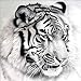 Produktbild Diamant Painting DIY 5D Diamant Gemälde Malen nach Zahlen Kit Schwarz und Weiß Tiger Kristall Stickerei Kreuzstich Kunst Craft Supply für Home Wall Decor 30 x 30 cm
