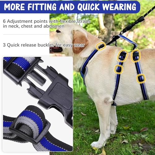 Image of Mihachi Medium Blue Dog Harness - Escape Proof, No Pull, Reflective, Adjustable, Modern Style with Handle and D-Ring for Walking, Hiking, Training and Running