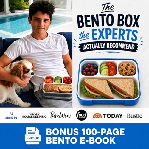 Image of kinsho Bento Box for Kids Lunch-Boxes for Adults | Portion Snack Containers for Boys Toddlers Pre-School Daycare Work Lunches BPA Free | 4 Compartments, Gray Blue, 2 pack