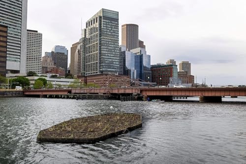 Floating wetlands bring back Boston's natural landscape lost to development