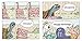How Old Is Mr. Tortoise?: A Picture Book