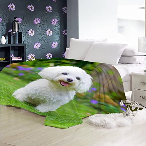 DEEMOL Coperta bianca Havanese in microfibra