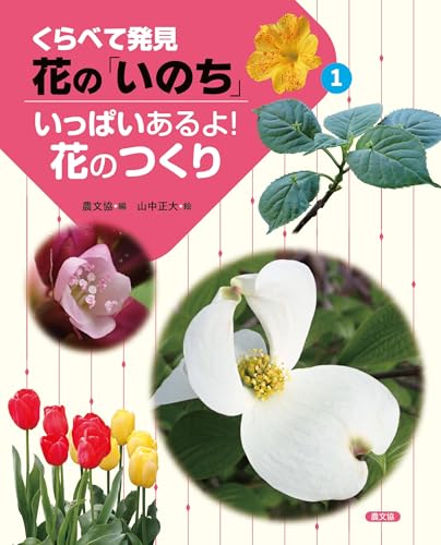 いっぱいあるよ!花のつくり (1) (くらべて発見花の「いのち」) いっぱいあるよ!花のつくり (1) (くらべて発見花の「いのち」)