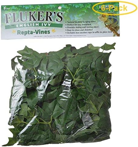 Fluker's English Ivy Repta-Vines 6' Long - Pack of 6