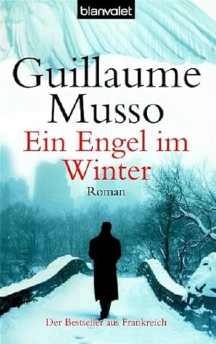 Ein Engel im Winter [German] 3442362202 Book Cover