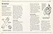 Haynes Explains - The British (Haynes Manuals)