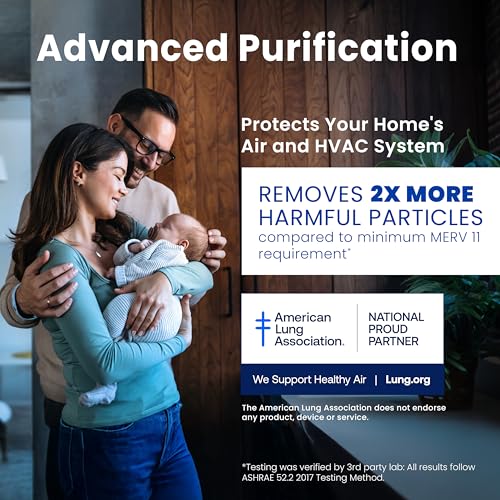 Aprilaire 210 Ersatz-Ofenluftfilter für Aprilaire Whole Home Luftreiniger, MERV 11, Clean Air Dust Furnace Filter (1 Stück)