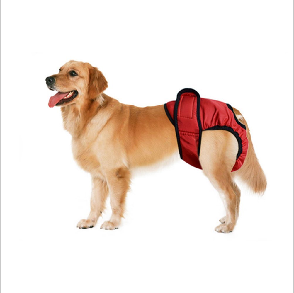 Confezione Da 2 Pannolini Riutilizzabili Per Cani - Lavabili, Super Assorbenti, Taglia 40-50 Cm, Per Femmine In Calore E Cuccioli